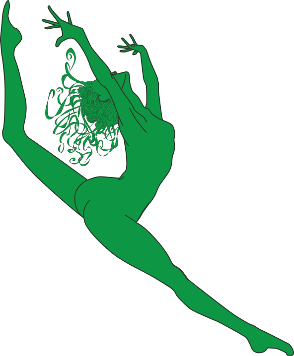 Flyer Gym Logo